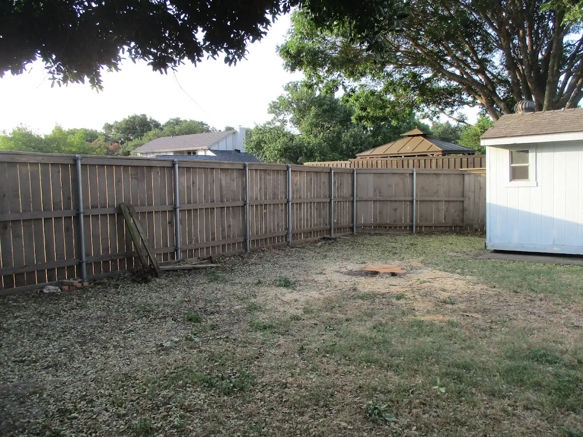 Cleared yard after professional tree removal in Glyndon