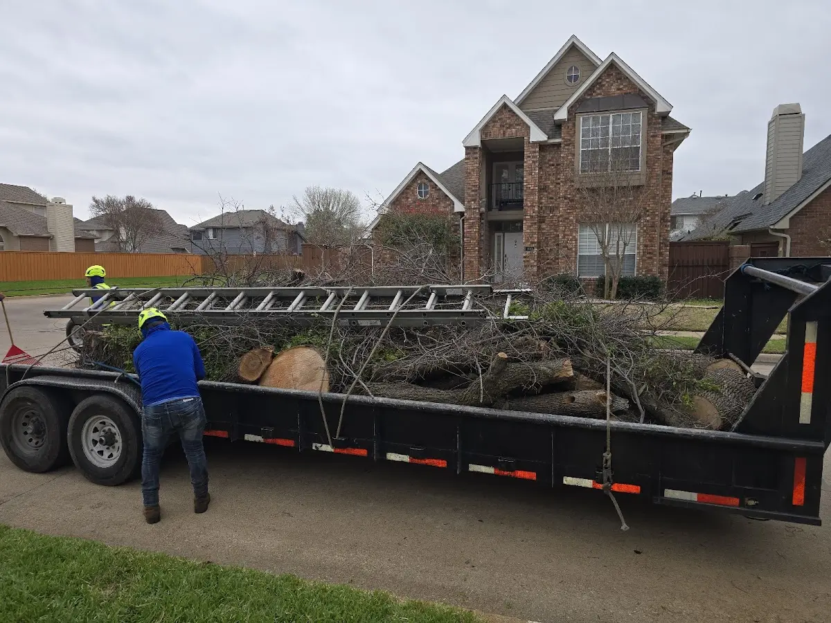 Expert Tree Fertilization with proper safety equipment in Glyndon